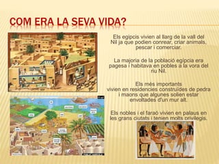 COM ERA LA SEVA VIDA?
Els egipcis vivien al llarg de la vall del
Nil ja que podien conrear, criar animals,
pescar i comerciar.
La majoria de la població egípcia era
pagesa i habitava en pobles a la vora del
riu Nil.
Els més importants
vivien en residencies construïdes de pedra
i maons que algunes solien estar
envoltades d'un mur alt.
Els nobles i el faraó vivien en palaus en
les grans ciutats i tenien molts privilegis.
 