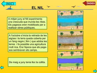EL NIL A mitjan juny el Nil experimenta una crescuda que inunda les ribes. Els pagesos eren mobilitzats per a realitzar obres públiques. A l’octubre s’inicia la retirada de les aigües i la terra queda coberta per un fang negre ( llim ) que adoba les terres  i fa possible una agricultura  molt rica. Era l’època que els page- sos sembraven els camps. De maig a juny tenia lloc la collita. 