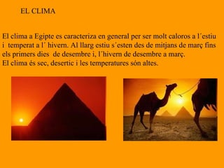 EL CLIMA El clima a Egipte es caracteriza en general per ser molt caloros a l´estiu  i  temperat a l´ hivern. Al llarg estiu s´esten des de mitjans de març fins  els primers dies  de desembre i, l´hivern de desembre a març. El clima és sec, desertic i les temperatures són altes. 