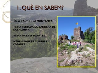 1. QUÈ EN SABEM?

-ÉS A DALT DE LA MUNTANYA

-HI HA PENJADA LA BANDERA DE
CATALUNYA

-HI HA MOLTES PLANTES

-VENEN PANETS ALGUNES
VEGADES
 