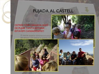 PUJADA AL CASTELL


OSTRES COM CANSAVA AIXÒ
DE PUJAR TANTA ESTONA…
ESTAVEM CANSADÍSSIMS!!!
 