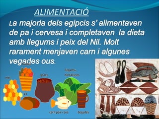 ALIMENTACIÓ
 
