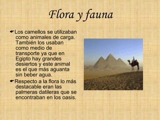Flora y fauna  Los camellos se utilizaban como animales de carga.  También los usaban como medio de transporte ya que en Egipto hay grandes desiertos y este animal es el que más aguanta sin beber agua.  Respecto a la flora lo más destacable eran las palmeras datileras que se encontraban en los oasis. 