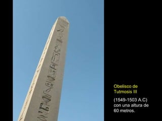 Obelisco de Tutmosis III   (1549-1503 A.C)   con una altura de 60 metros.  