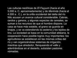 Las culturas neolíticas de  El Fayyum  (hacia el año 5.000 a. C. aproximadamente) y de  Merimde  (hacia el 4.000 a . C.), en la orilla occidental del delta del río Nilo acusan un avance cultural considerable. Cabras, cerdos y gansos, y algunas especies de cereales, se suman a los recursos de que el hombre dispone. La casa se hace más estable, el grano se guarda en tinajas, y se va extendiendo la cestería y los tejidos de lino. La sociedad se basa en la comunidad aldeana, la cooperación hace posible logros muy importantes: los agricultores se establecen en las mismas orillas del río y van organizándose sistemas de irrigación, mientras que alrededor, flanqueando el valle y adentrándose en el desierto, subsisten pastores nómadas. 