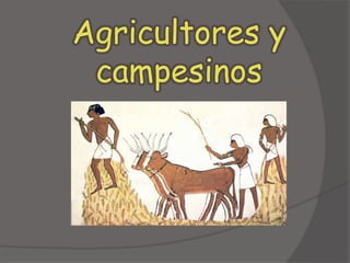 Agricultores y campesinos 
