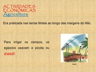ACTIVIDADES  ECONÓMICAS Era praticada nas terras férteis ao longo das margens do Nilo. Para irrigar os campos, os egípcios usavam a picota ou  chaduff .  Agricultura Chaduff 