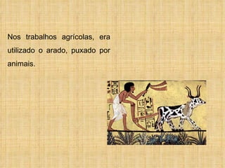 Nos trabalhos agrícolas, era utilizado o arado, puxado por animais. 