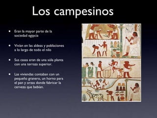 Los campesinos Eran la mayor parte de la sociedad egipcia Vivían en las aldeas y poblaciones a lo largo de todo el nilo Sus casas eran de una sóla planta con una terraza superior.  Las viviendas contaban con un pequeño granero, un horno para el pan y orzas donde fabricar la cerveza que bebían. 