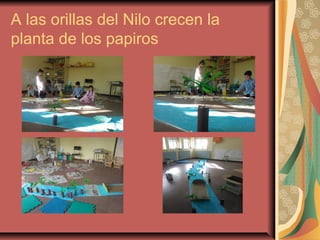 A las orillas del Nilo crecen la
planta de los papiros
 