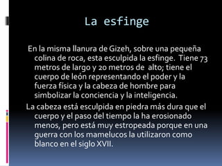 La esfinge
En la misma llanura de Gizeh, sobre una pequeña
colina de roca, esta esculpida la esfinge. Tiene 73
metros de largo y 20 metros de alto; tiene el
cuerpo de león representando el poder y la
fuerza física y la cabeza de hombre para
simbolizar la conciencia y la inteligencia.
La cabeza está esculpida en piedra más dura que el
cuerpo y el paso del tiempo la ha erosionado
menos, pero está muy estropeada porque en una
guerra con los mamelucos la utilizaron como
blanco en el siglo XVII.
 
