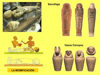 LA MOMIFICACIÓN
Sarcófago
Vasos Canopos