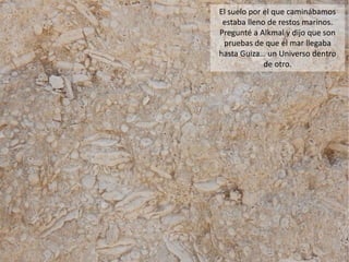 El suelo por el que caminábamos
estaba lleno de restos marinos.
Pregunté a Alkmal y dijo que son
pruebas de que el mar llegaba
hasta Guiza… un Universo dentro
de otro.
 