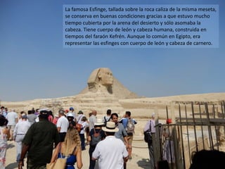 La famosa Esfinge, tallada sobre la roca caliza de la misma meseta,
se conserva en buenas condiciones gracias a que estuvo mucho
tiempo cubierta por la arena del desierto y sólo asomaba la
cabeza. Tiene cuerpo de león y cabeza humana, construida en
tiempos del faraón Kefrén. Aunque lo común en Egipto, era
representar las esfinges con cuerpo de león y cabeza de carnero.
 