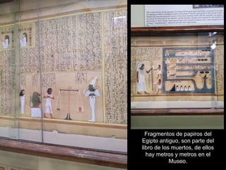 Fragmentos de papiros del
Egipto antiguo, son parte del
libro de los muertos, de ellos
hay metros y metros en el
Museo.
 
