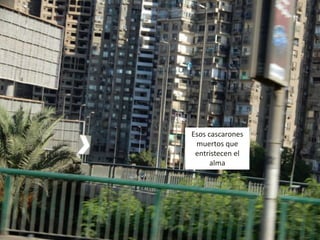 Esos cascarones
muertos que
entristecen el
alma
 