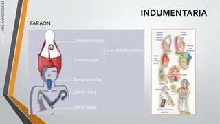 EGIPTO
/
ARQ.
ANA
GONZÁLEZ
INDUMENTARIA
FARAÓN
 