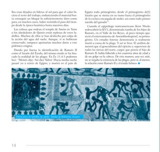 14
llos eran dejados en hileras al sol para que el calor hi-
ciera el resto del trabajo, endureciendo el material has-
ta conseguir un bloque lo suficientemente duro como
para, en muchos casos, haber resistido el paso del tiem-
po desde la época faraónica hasta nuestros días.
Las colinas que rodean el templo de Amón en Tanis
o los alrededores de Qantir están repletas de estos la-
drillos. Muchos de ellos se han deshecho por culpa de
la acción del agua del suelo. Aunque, si se hubieran
conservado, tampoco aportarían muchos datos a este
polémico enigma.
Dando por buena la identificación de Ramsés II
como el faraón del Éxodo, del mismo modo se ha bus-
cado la realidad de las plagas. En Éx 11,4-5 podemos
leer: “Moisés dijo: ‘Así dice Yahvé: Hacia media noche
pasaré yo a través de Egipto, y morirá en el país de
Egipto todo primogénito, desde el primogénito de[l]
faraón que se sienta en su trono hasta el primogénito
de la esclava encargada de moler, así como todo primer
nacido del ganado’”.
Cuando el egiptólogo norteamericano Kent Weeks
redescubrió la KV5, denominada tumba de los hijos de
Ramsés, en el Valle de los Reyes, al poco tiempo apa-
reció el enterramiento de Amonkherkopesef, su primo-
génito. Un estudio forense demostraría si realmente
murió a causa de la plaga. Y así se hizo. El análisis de-
mostró que el generalísimo del ejército y supervisor de
todas las tierras del norte, cargos que poseía el hijo de
Ramsés II, había fallecido a los cuarenta años de edad y
de un golpe en la cabeza. De esta manera, una vez más,
no se negaba la existencia de las plagas, pero sí, al menos,
la relación entre Ramsés II y el éxodo hebreo.
Fabricantes de ladrillos de adobe. Tumba de Rekhmire (Luxor).
 