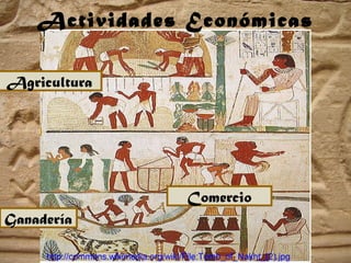 Actividades Económicas
Agricultura
http://commons.wikimedia.org/wiki/File:Tomb_of_Nakht_(2).jpg
Ganadería
Comercio
 