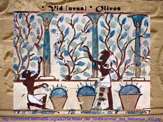 http://commons.wikimedia.org/wiki/File:Maler_der_Grabkammer_des_Nebamun_002.jpg
* Vid (uvas) * Olivos
 