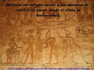 Hicieron un valioso aporte a las técnicas de
cultivo en zonas donde el clima es
desfavorable.
http://commons.wikimedia.org/wiki/File:Medinet_Habu_temple_relief2008A.jpg
 
