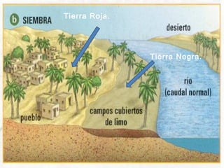 Tierra Negra.
Tierra Roja.
 