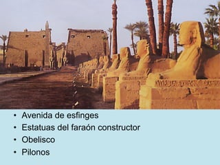 •  Avenida de esfinges
•  Estatuas del faraón constructor
•  Obelisco
•  Pilonos
 