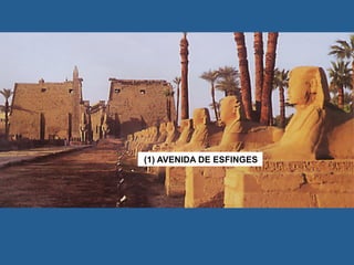 (1) AVENIDA DE ESFINGES
 
