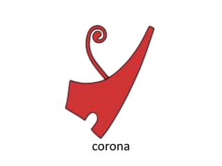 corona
 