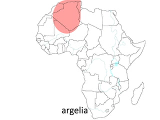 argelia
 