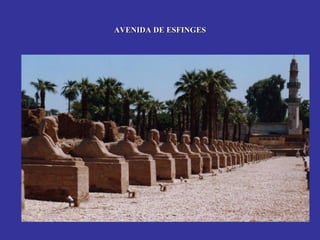 AVENIDA DE ESFINGES
 