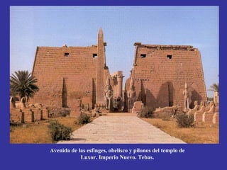 Avenida de las esfinges, obelisco y pilonos del templo de
            Luxor. Imperio Nuevo. Tebas.
 