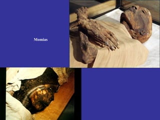 Momias
 