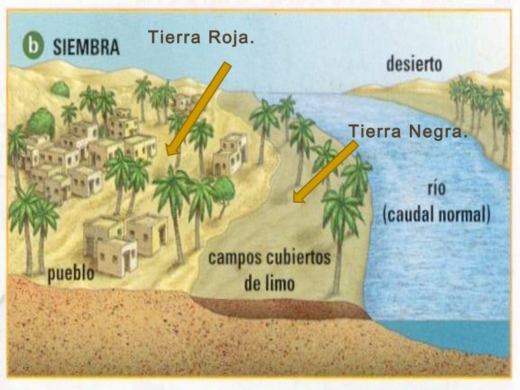 Tema 7. 1º ESO Tema 7. 1º ESO