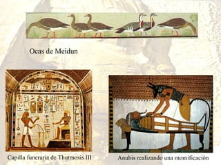 Anubis realizando una momificación Capilla funeraria de Thutmosis III Ocas de Meidun 