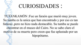 CURIOSIDADES :
TUTANKAMÓN :Fue un faraón que murió muy joven.
Su tumba es la unica que han encontrado y por eso es tan
famoso ,pero no hizo nada destacable. Su tumba se puede
encontrar en el museo del Cairo. No se sabe claro el
motivo de su muerte pero creen que fue aplastado por un
hipopótamo.