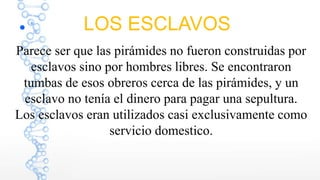 Parece ser que las pirámides no fueron construidas por
esclavos sino por hombres libres. Se encontraron
tumbas de esos obreros cerca de las pirámides, y un
esclavo no tenía el dinero para pagar una sepultura.
Los esclavos eran utilizados casi exclusivamente como
servicio domestico.
LOS ESCLAVOS