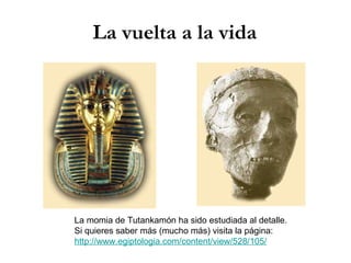 La vuelta a la vida La momia de Tutankamón ha sido estudiada al detalle. Si quieres saber más (mucho más) visita la página: http://www.egiptologia.com/content/view/528/105/ 