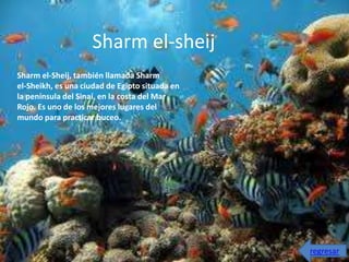 Sharm el-sheij
Sharm el-Sheij, también llamada Sharm
el-Sheikh, es una ciudad de Egipto situada en
la península del Sinaí, en la costa del Mar
Rojo. Es uno de los mejores lugares del
mundo para practicar buceo.




                                                regresar
 