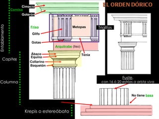 EL ORDEN DÓRICO Krepis o estereóbato No tiene  basa Estilóbato Baquetón Collarino Equino Ábaco Tenia Entablamento Friso Cornisa Capite l Columna Fuste , con 16 ó 20 estrías  a arista viva Metopas Glifo Gotas Goterón Cimacio Triglifos Arquitrabe   (liso) 