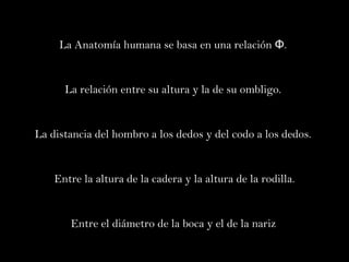 La Anatomía humana se basa en una relación Φ.  La relación entre su altura y la de su ombligo.  La distancia del hombro a los dedos y del codo a los dedos.  Entre la altura de la cadera y la altura de la rodilla. Entre el diámetro de la boca y el de la nariz   