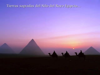 Tierras sagradas del Nilo del Rayo Egipcio…Tierras sagradas del Nilo del Rayo Egipcio…
 
