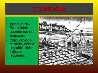 ECONOMIA Agricultura - Era a base econômica dos egípcios.  trigo, cevada, centeio, cebola, algodão, linho, frutos e legumes.  