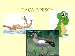 CAÇA E PESCA
 