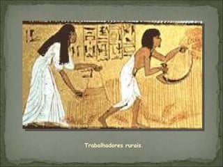 Trabalhadores rurais. 