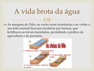 
 As margens do Nilo, no verão eram inundadas e ao voltar a
seu leito normal ficavam recoberta por húmus, que
fertilizava as terras inundadas, permitindo a prática da
agricultura e da pecuária.
A vida brota da água
 