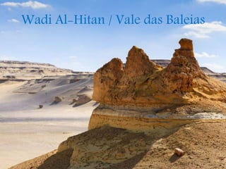Wadi Al-Hitan / Vale das Baleias
 
