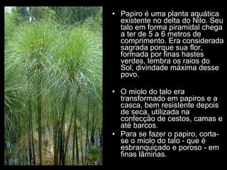 Papiro é uma planta aquática existente no delta do Nilo. Seu talo em forma piramidal chega a ter de 5 a 6 metros de comprimento. Era considerada sagrada porque sua flor, formada por finas hastes verdes, lembra os raios do Sol, divindade máxima desse povo.  O miolo do talo era transformado em papiros e a casca, bem resistente depois de seca, utilizada na confecção de cestos, camas e até barcos. Para se fazer o papiro, corta-se o miolo do talo - que é esbranquiçado e poroso - em finas lâminas.  