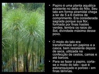 • Papiro é uma planta aquática
  existente no delta do Nilo. Seu
  talo em forma piramidal chega
  a ter de 5 a 6 metros de
  comprimento. Era considerada
  sagrada porque sua flor,
  formada por finas hastes
  verdes, lembra os raios do
  Sol, divindade máxima desse
  povo.

• O miolo do talo era
  transformado em papiros e a
  casca, bem resistente depois
  de seca, utilizada na
  confecção de cestos, camas e
  até barcos.
• Para se fazer o papiro, corta-
  se o miolo do talo - que é
  esbranquiçado e poroso - em
  finas lâminas.
 