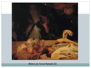 Múmia do faraó Ramsés II
 